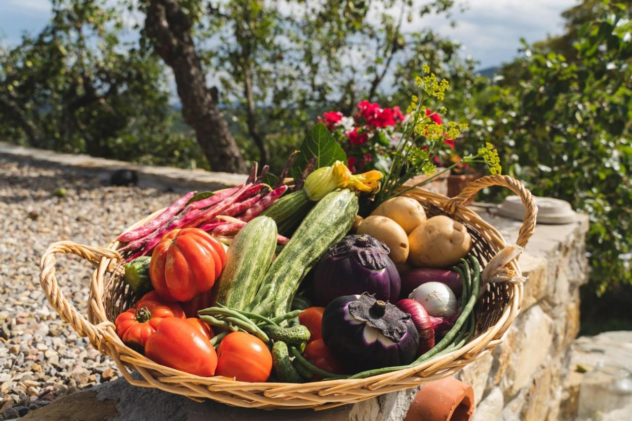 Agriturismo Le Fonti Pontassieve Esterno foto