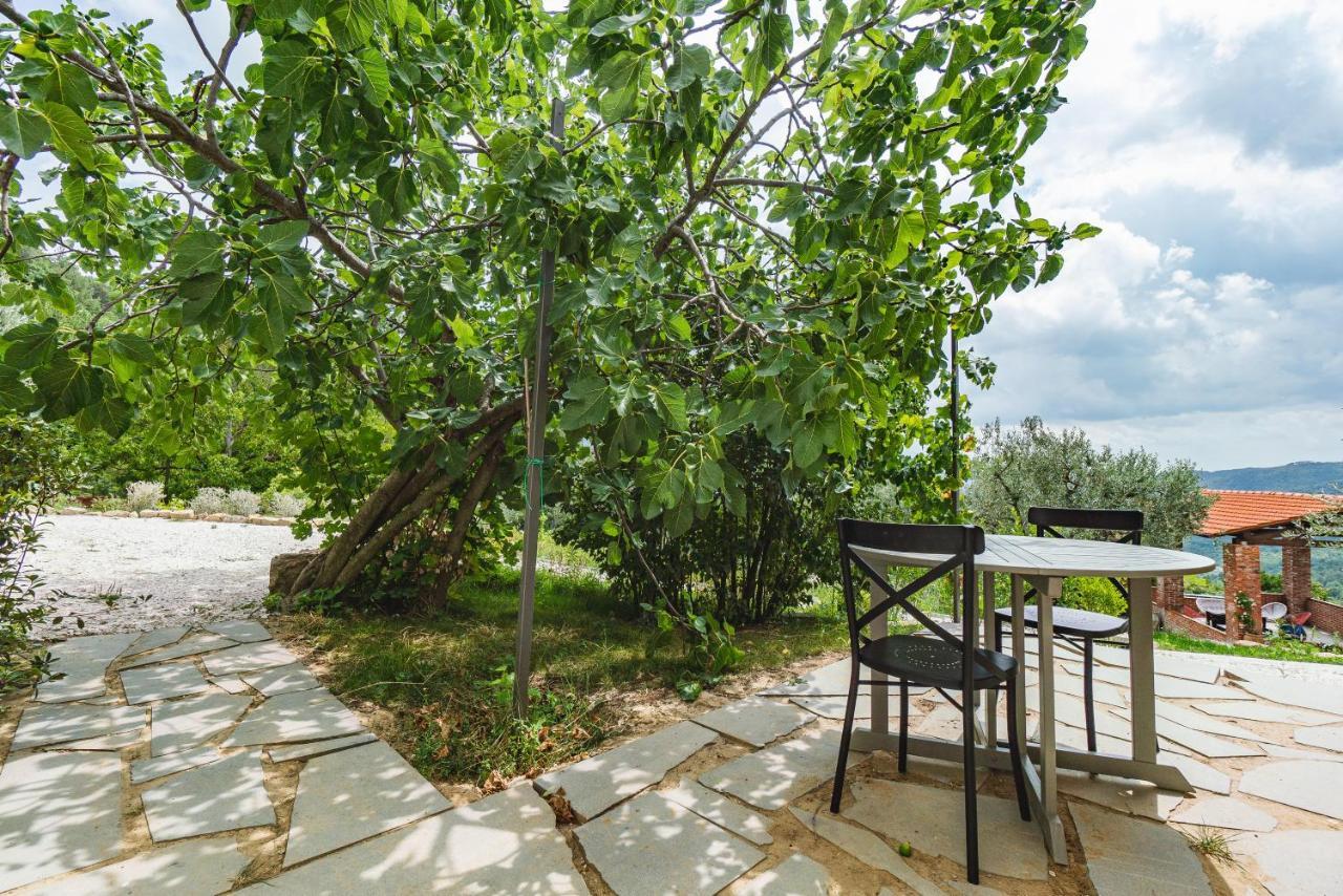 Agriturismo Le Fonti Pontassieve Esterno foto